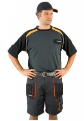 Kurze Arbeitshose Shorts - Bundhose in grau von Terratr